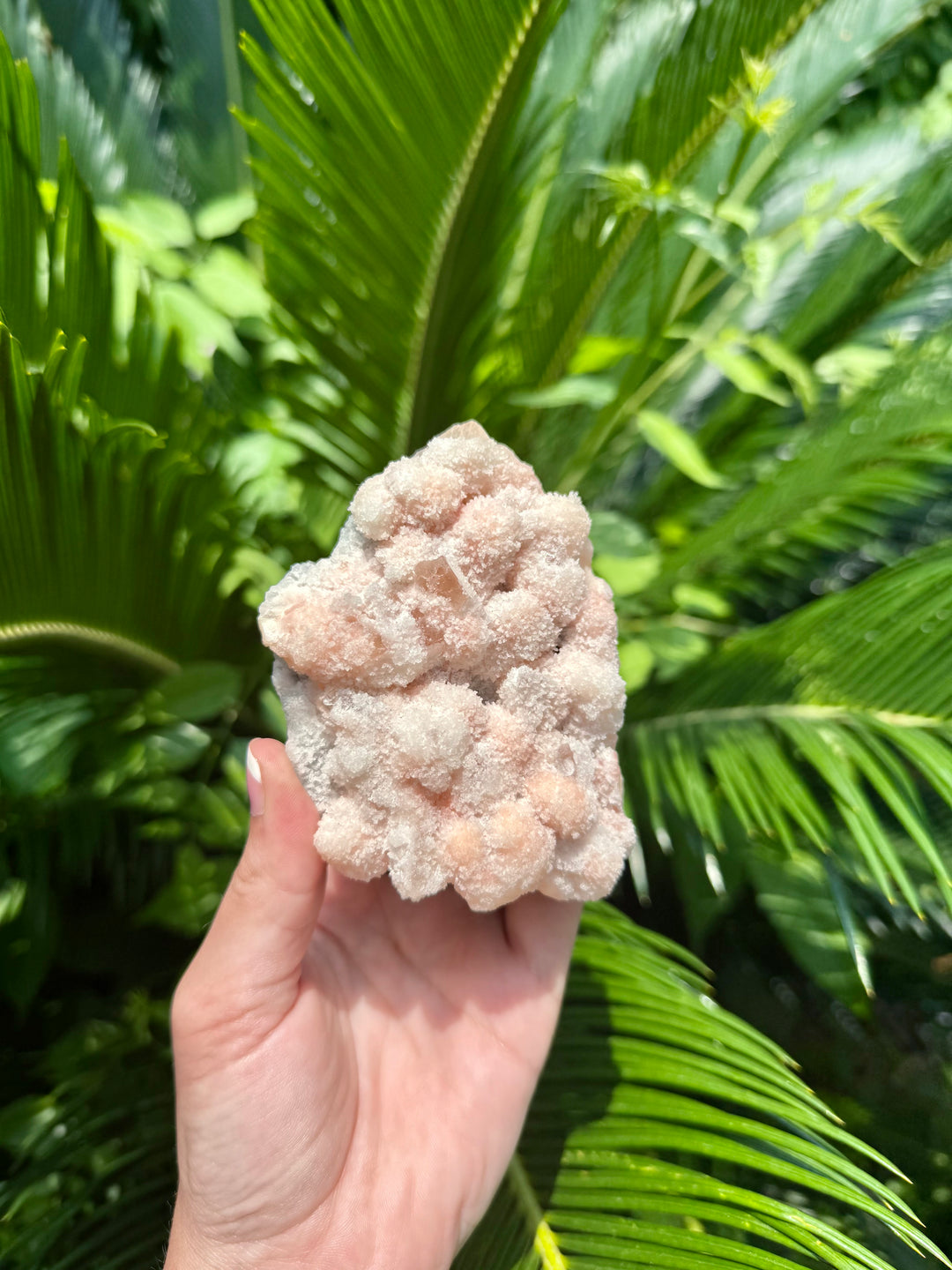 Pink Prehnite Freeform