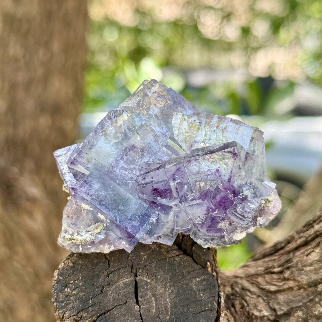 Yaogangxian Fluorite Freeform