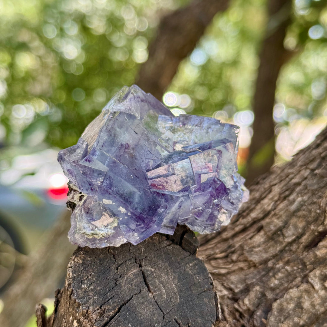 Yaogangxian Fluorite Freeform