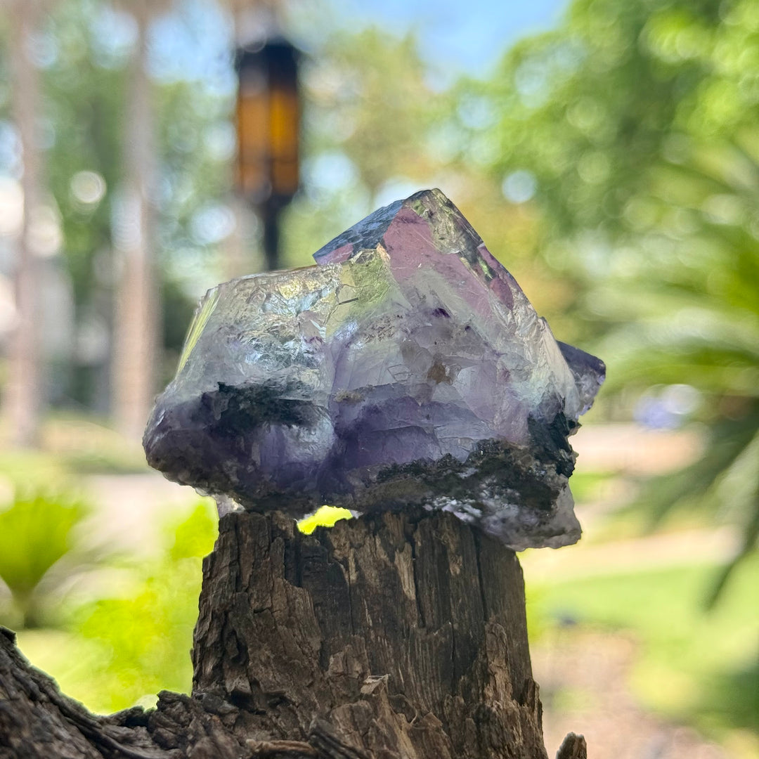Yaogangxian Fluorite Freeform