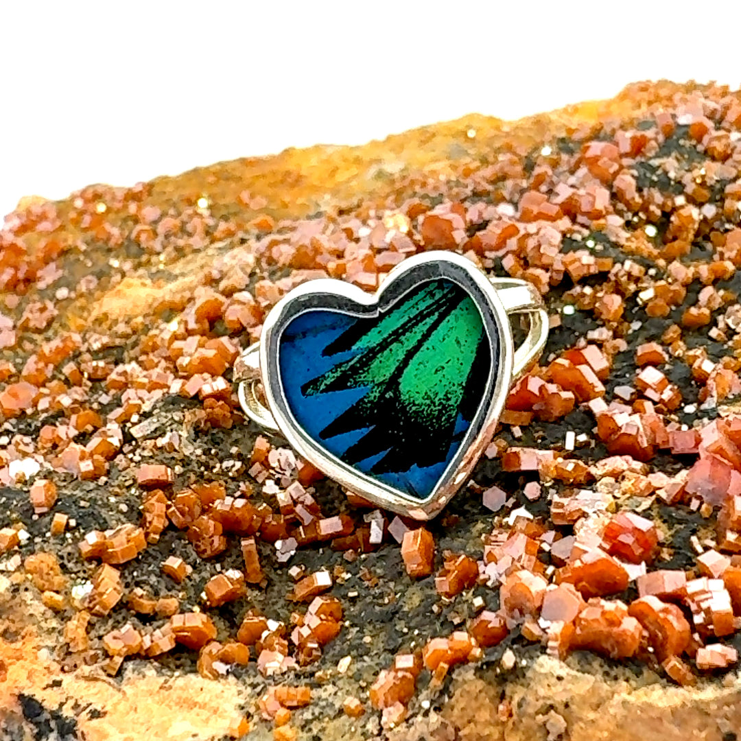 Real Butterfly Wing Heart Ring in Sterling Silver