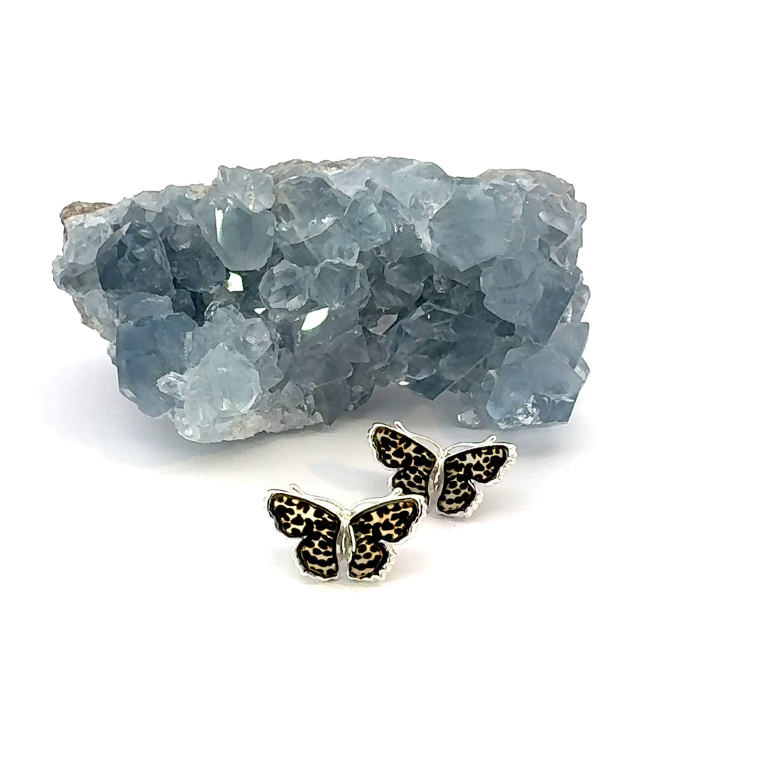 Amber Butterfly Stud Earrings in Sterling Silver