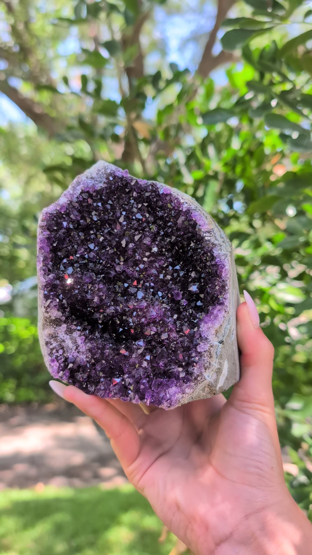 Uruguayan Amethyst Freeform