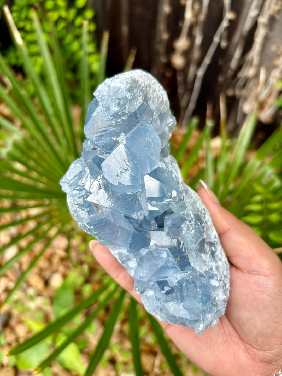Type of Crystal: Celestite