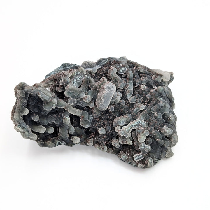 Blue Coral Chalcedony Freeform