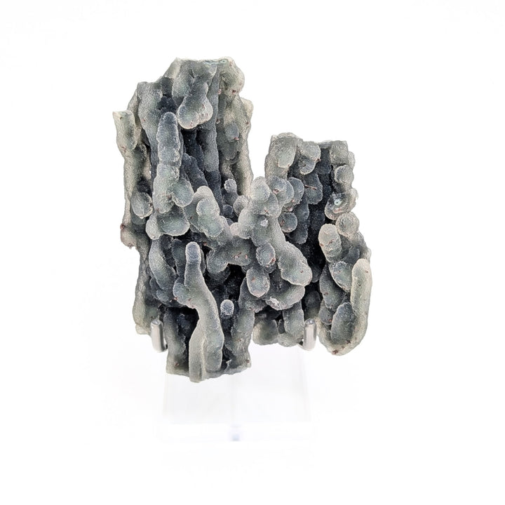 Blue Coral Chalcedony Freeform