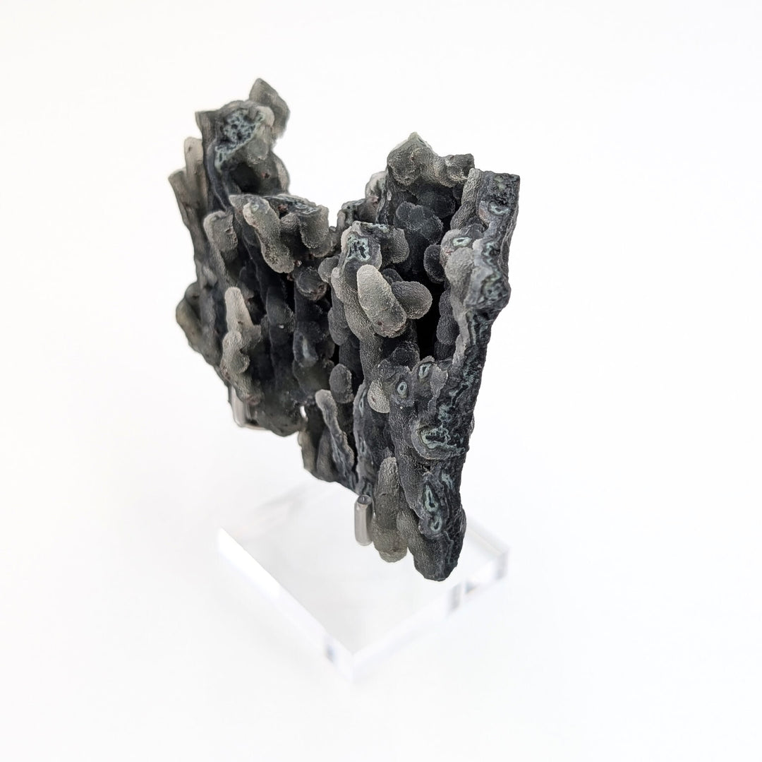 Blue Coral Chalcedony Freeform
