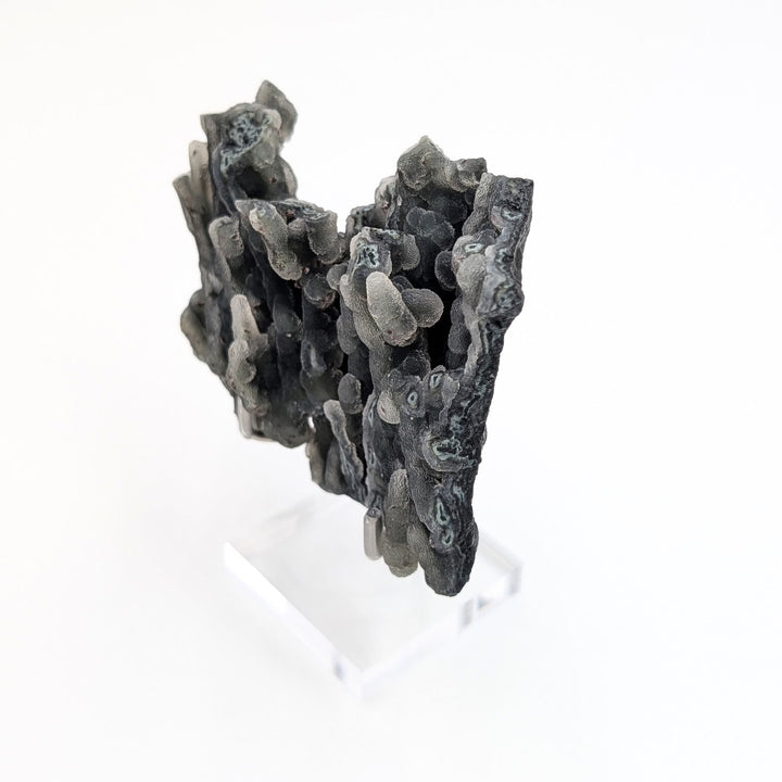 Blue Coral Chalcedony Freeform