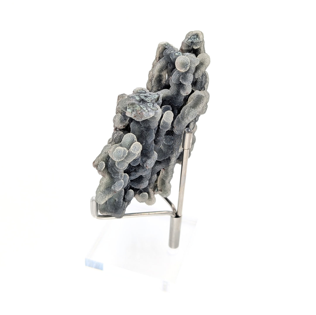Blue Coral Chalcedony Freeform