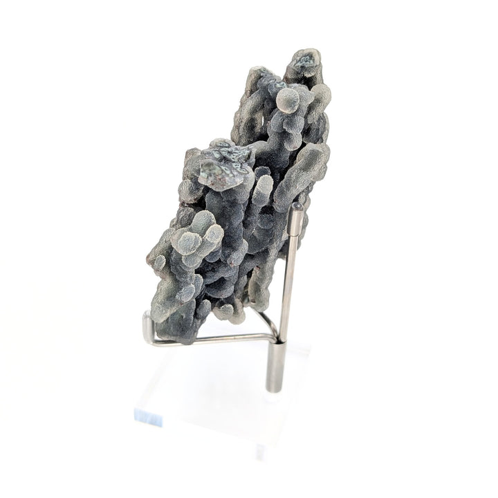 Blue Coral Chalcedony Freeform
