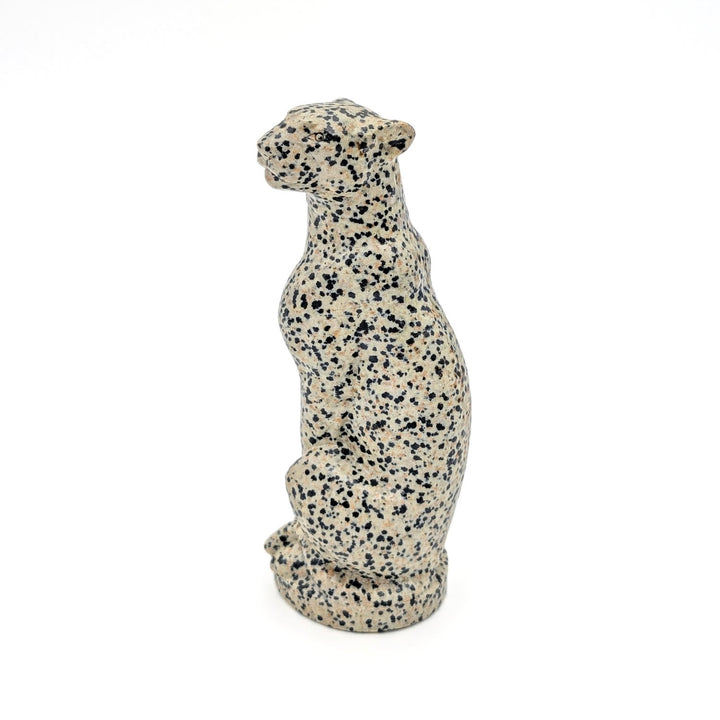 Dalmatian Jasper Leopard Carving
