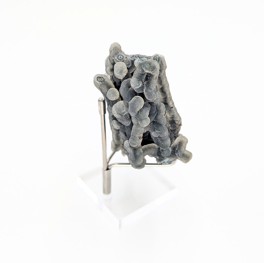 Blue Coral Chalcedony Freeform