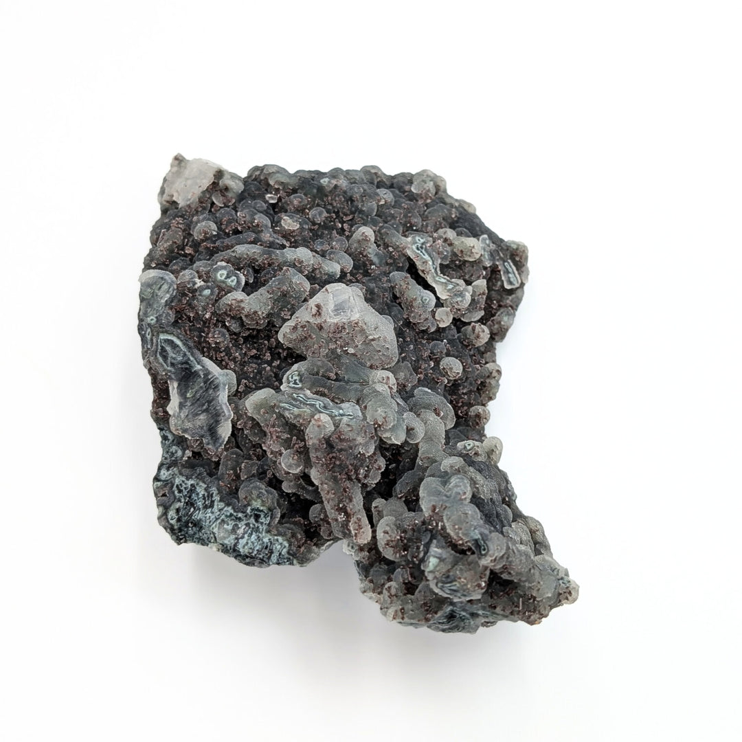 Blue Coral Chalcedony Freeform