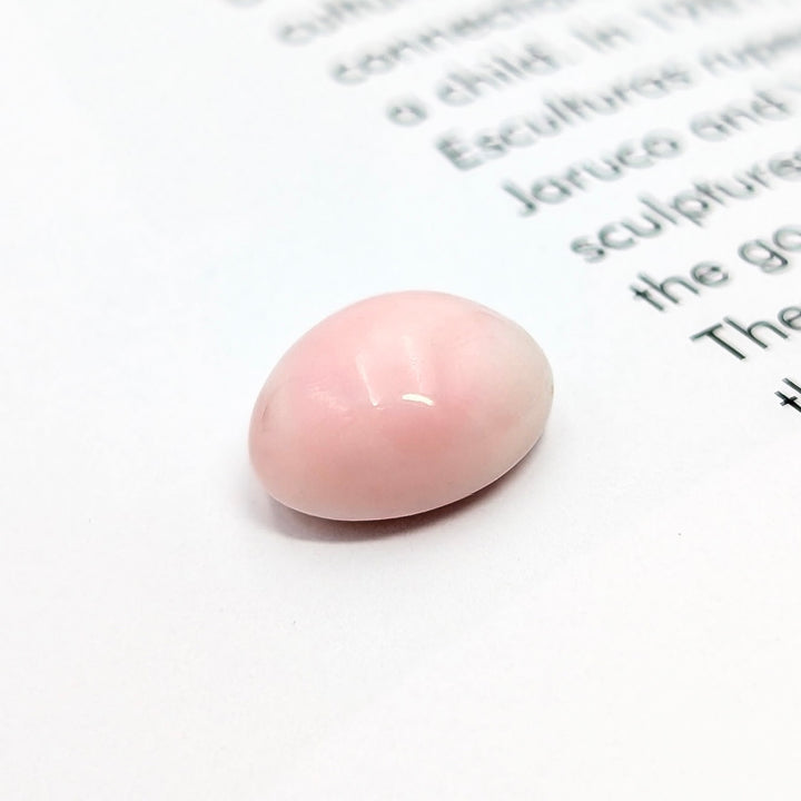 Natural Oval Queen Conch Pearl