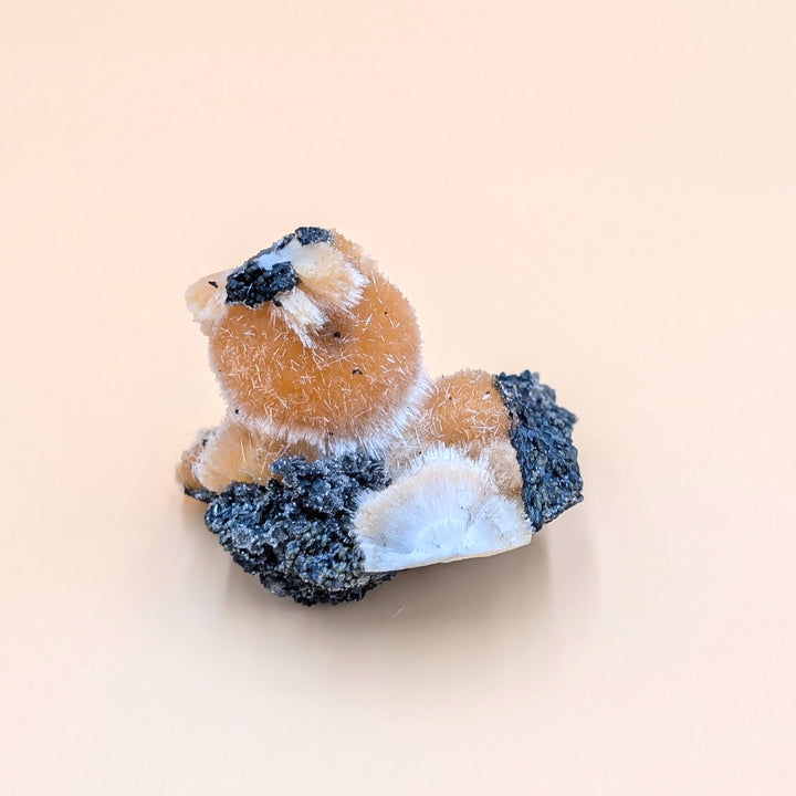 Thomsonite with Mesolite on Black Heulandite Matrix - Collector’s Specimen