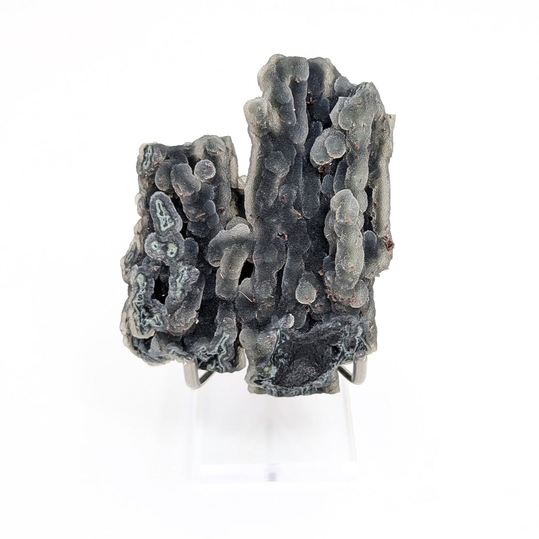 Blue Coral Chalcedony Freeform