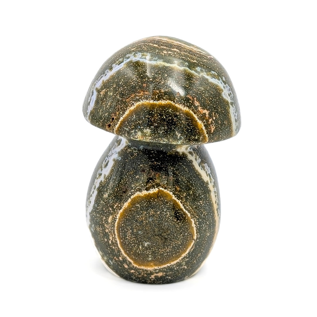 Orbicular Ocean Jasper Carved Mushroom