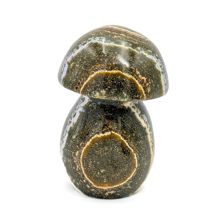 Orbicular Ocean Jasper Carved Mushroom