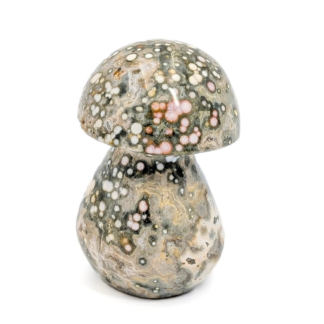 Orbicular Ocean Jasper Carved Mushroom
