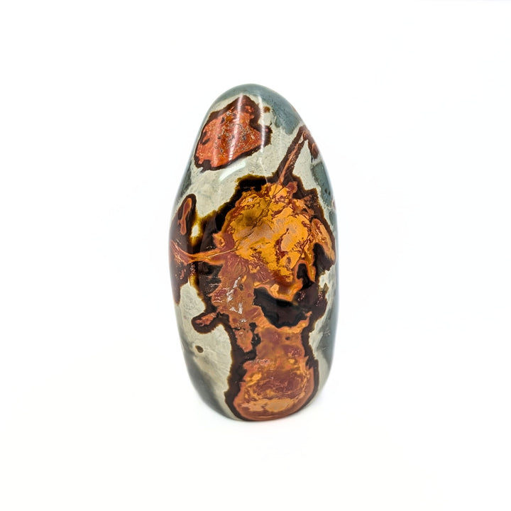 Polychrome Jasper Polished Freeform