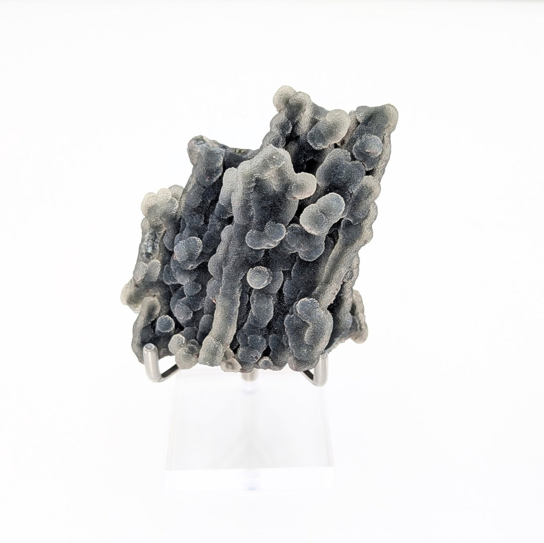 Blue Coral Chalcedony Freeform