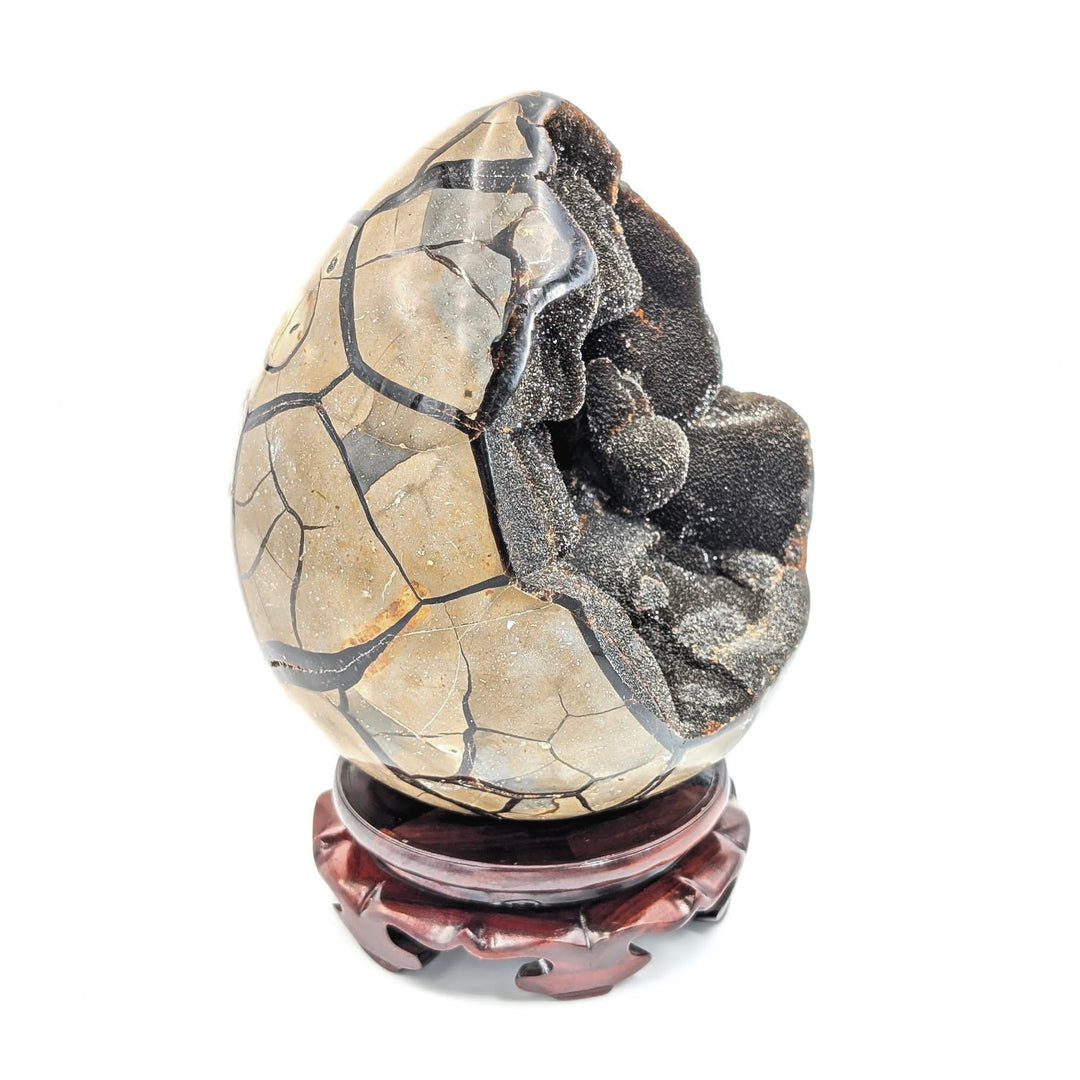 Septarian Druzy Egg with Stand