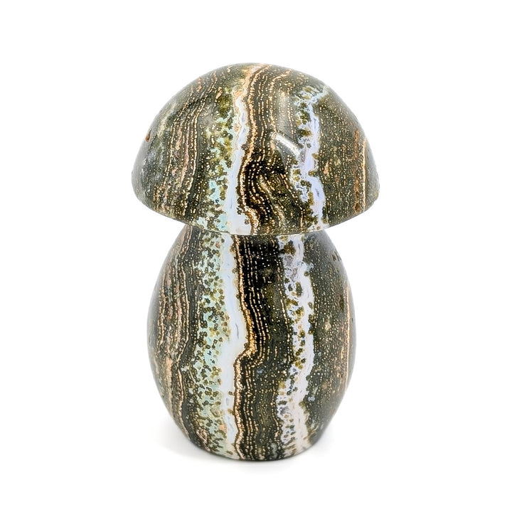 Orbicular Ocean Jasper Carved Mushroom
