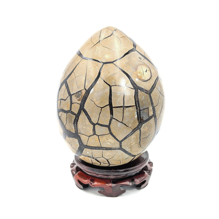 Septarian Druzy Egg with Stand