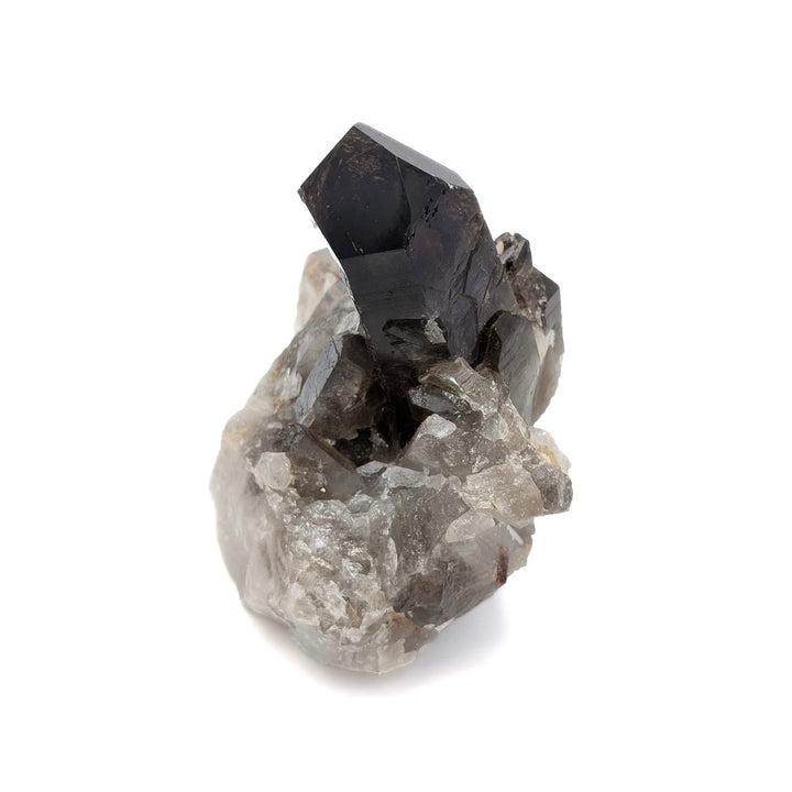 Brazilian Smoky Quartz Crystal Cluster