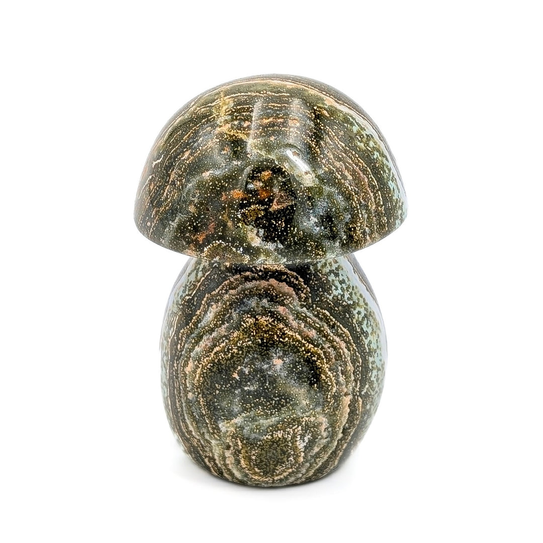 Orbicular Ocean Jasper Carved Mushroom