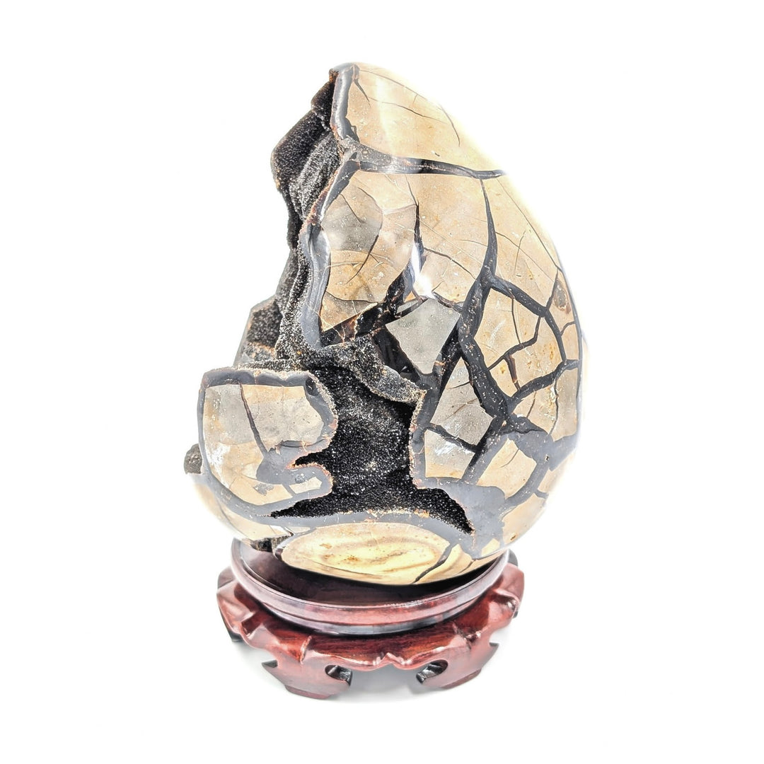 Septarian Druzy Egg with Stand