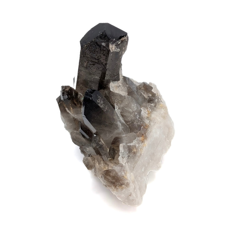 Brazilian Smoky Quartz Crystal Cluster