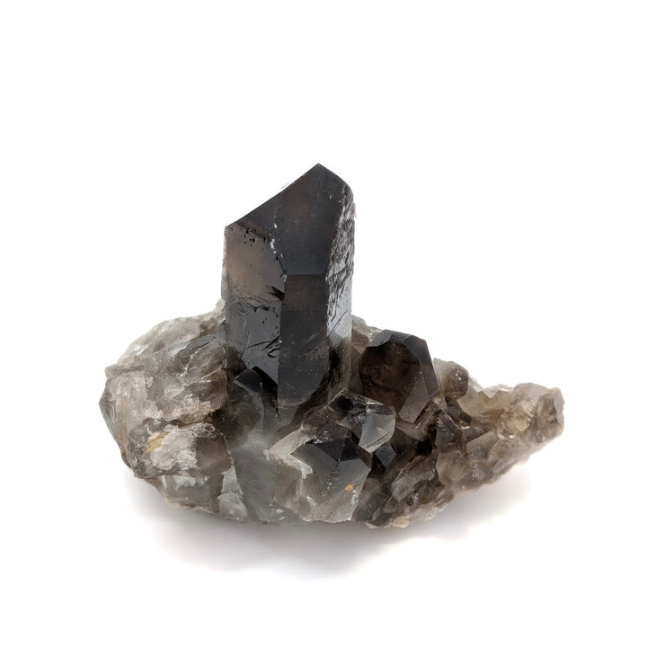 Brazilian Smoky Quartz Crystal Cluster