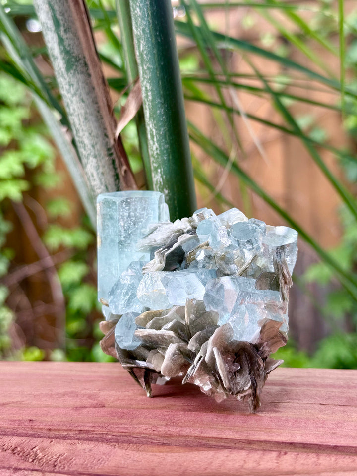 Freeform Aquamarine & Muscovite