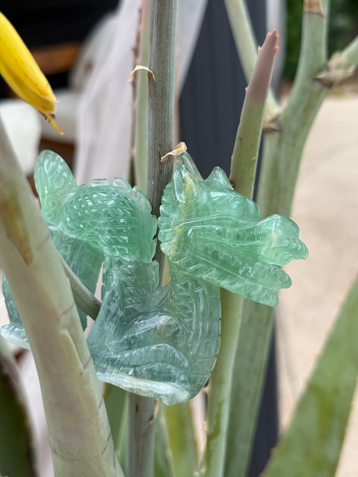 Fluorite Dragon