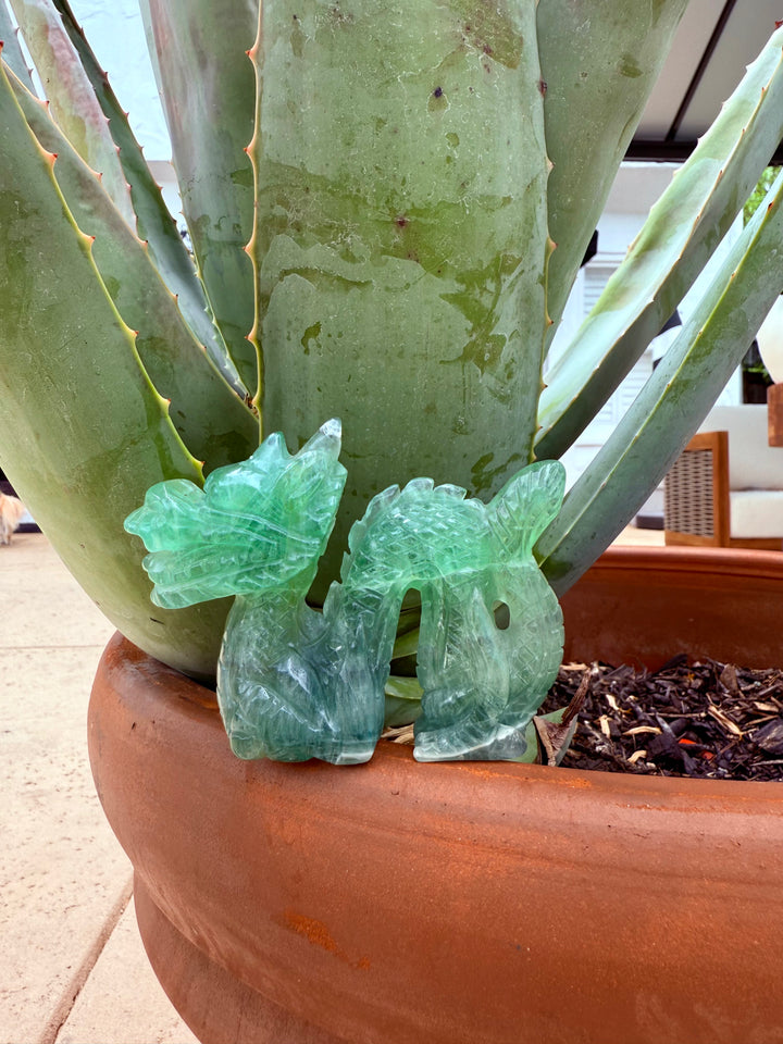Fluorite Dragon