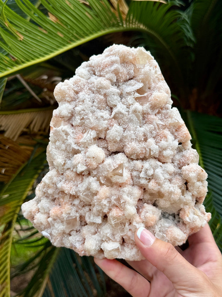 Pink Prehnite Freeform