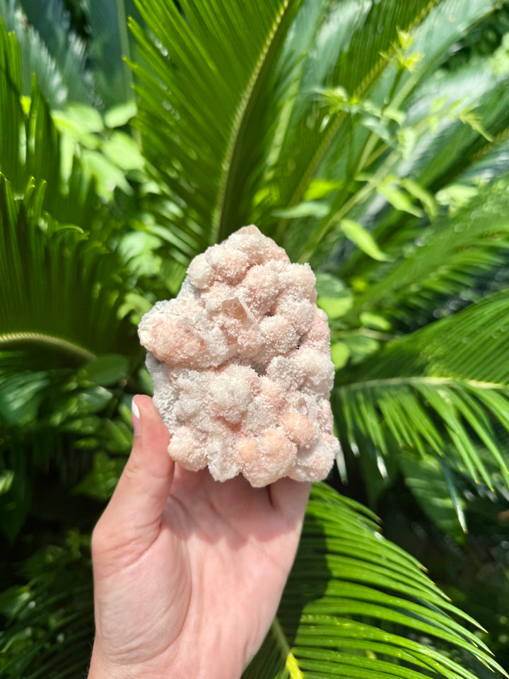 Pink Prehnite Freeform