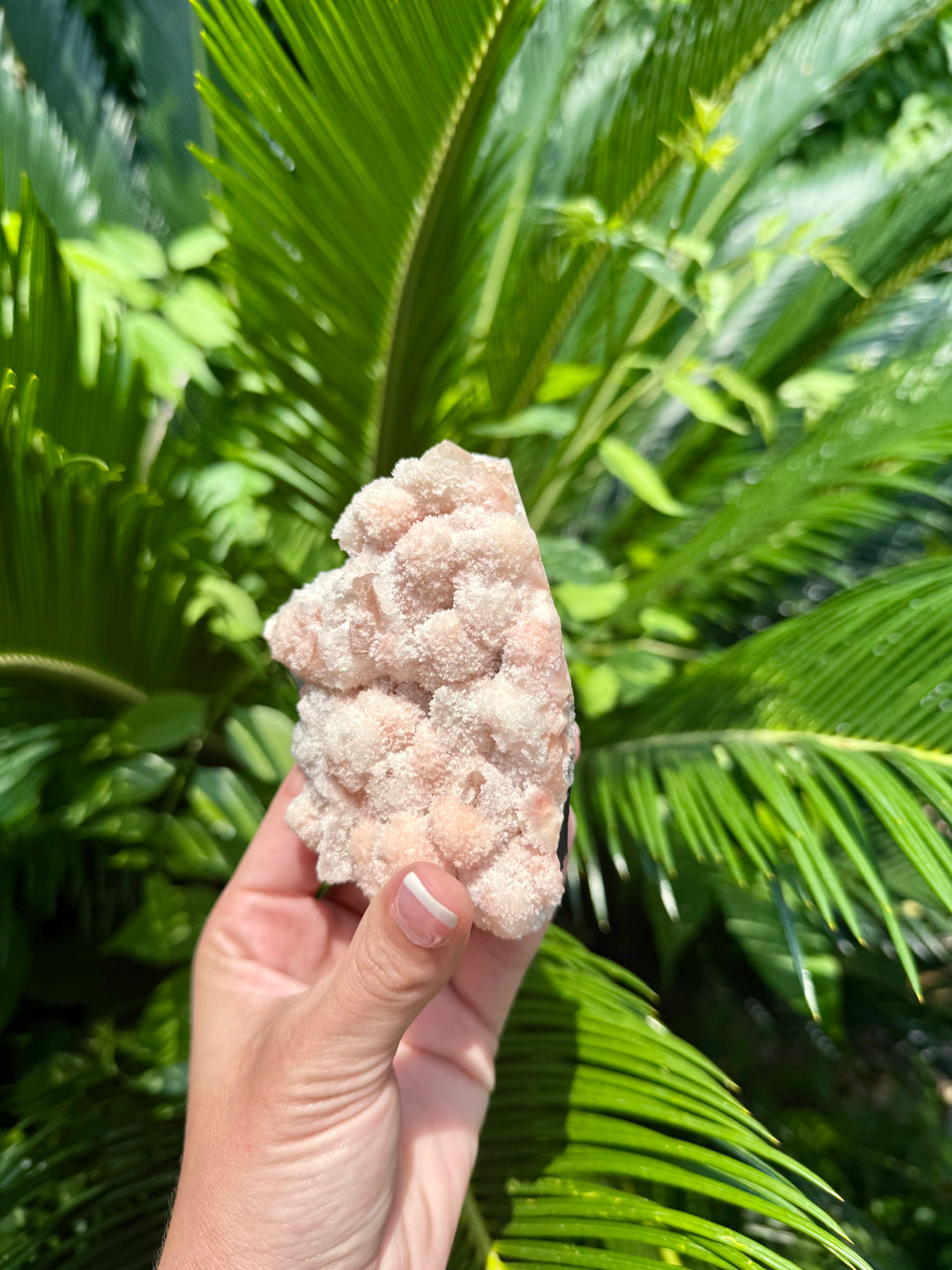 Pink Prehnite Freeform