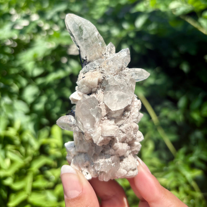 Black Tourmaline in Quartz with Albite Freeform