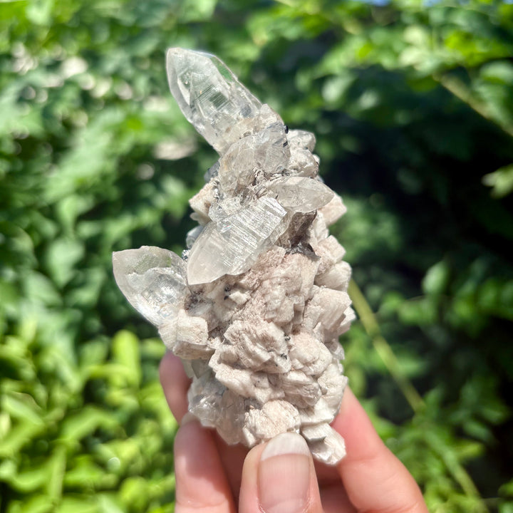 Black Tourmaline in Quartz with Albite Freeform