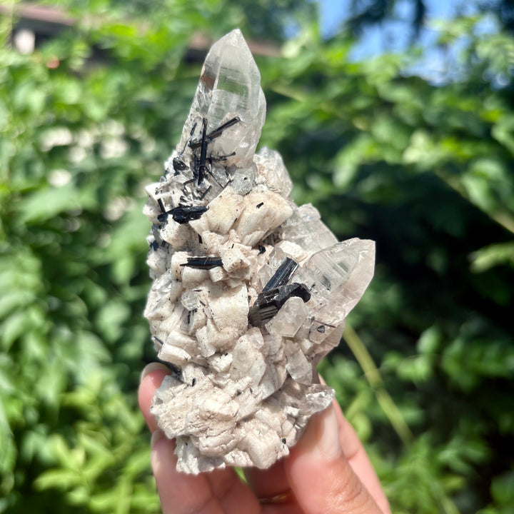 Black Tourmaline in Quartz with Albite Freeform