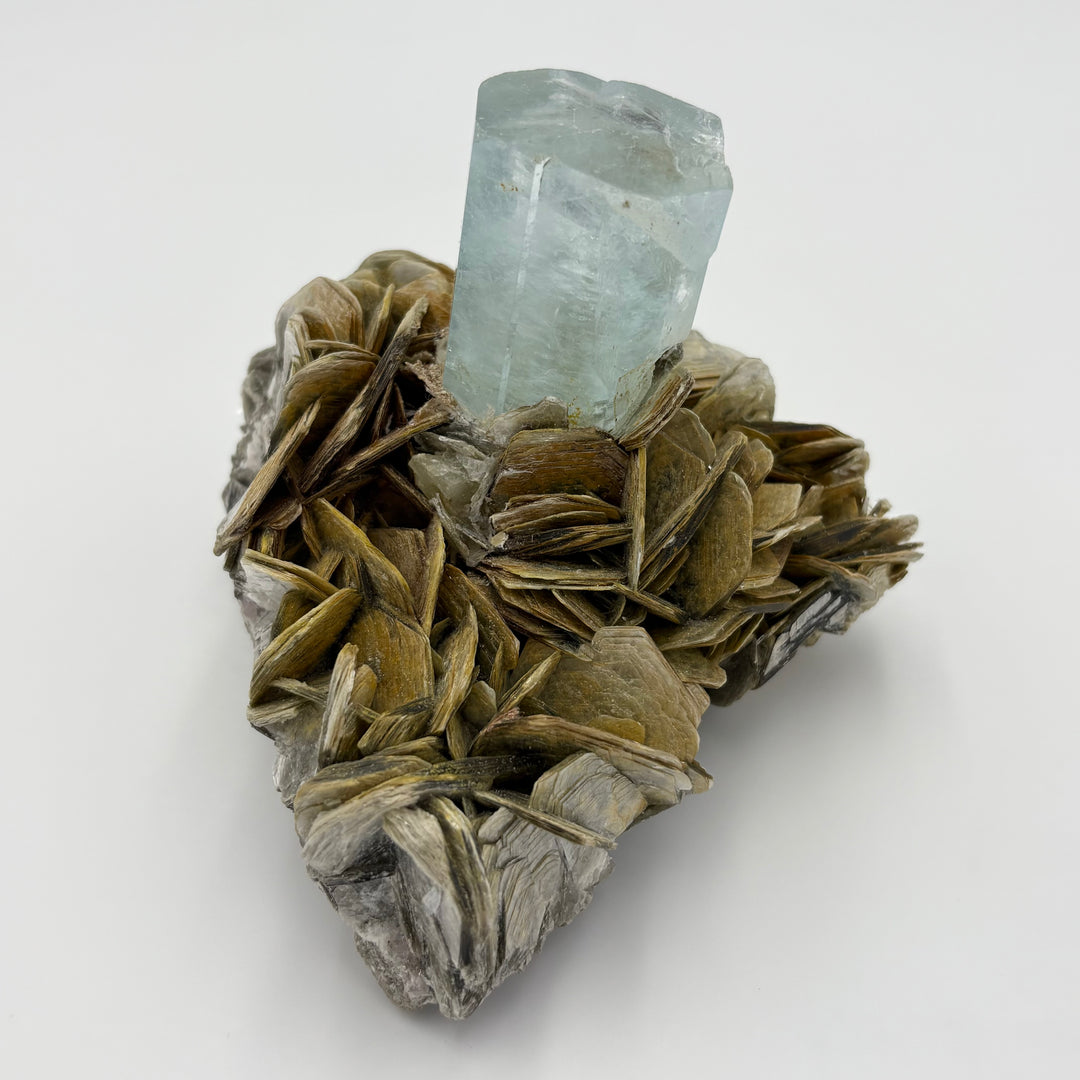 Well Terminated Aquamarine on Muscovite Freeform