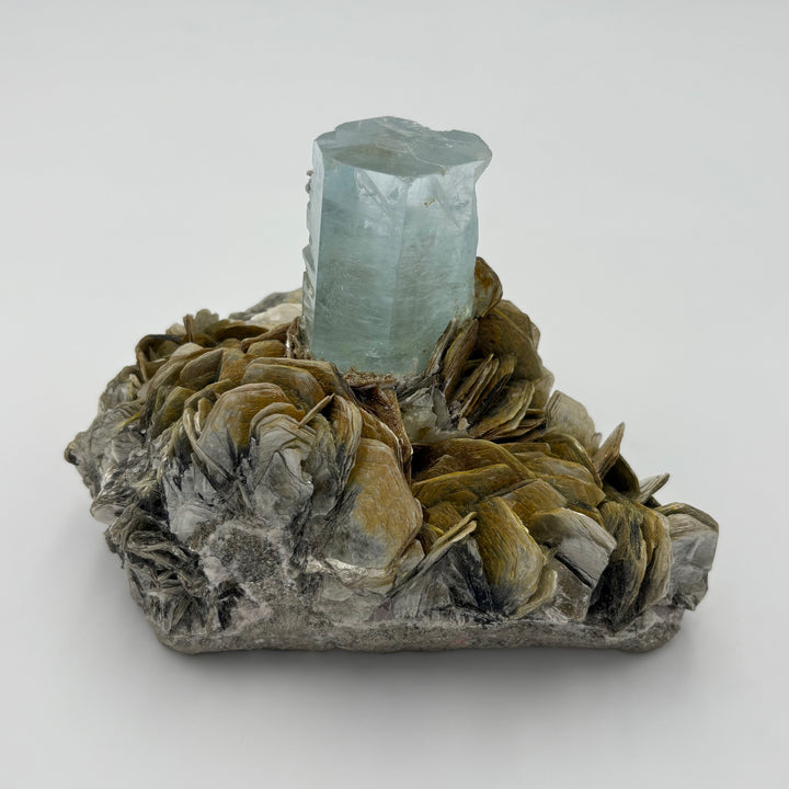 Well Terminated Aquamarine on Muscovite Freeform