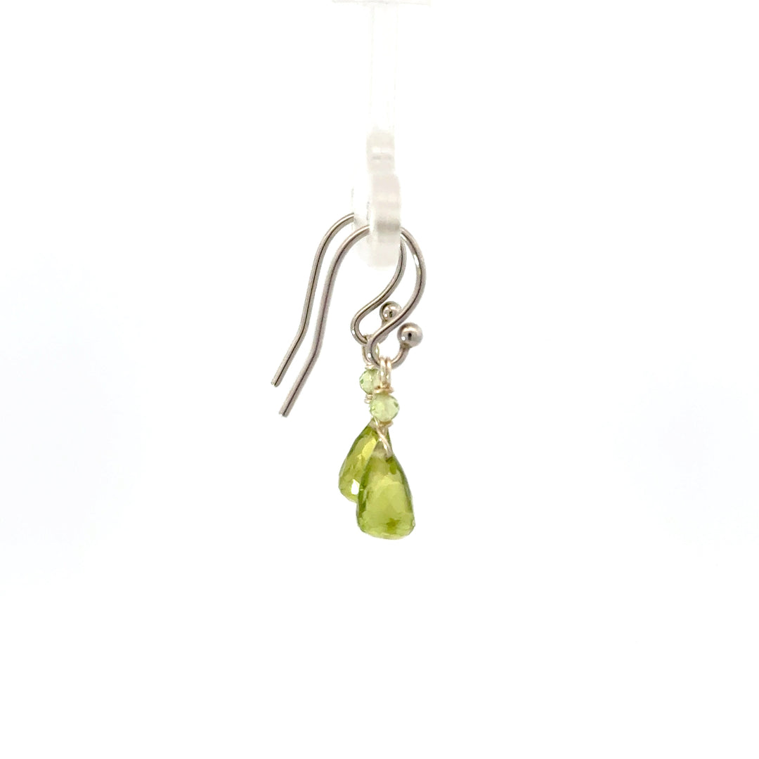 Faceted Briolette Gemstone Dangle Earrings in Sterling Silver