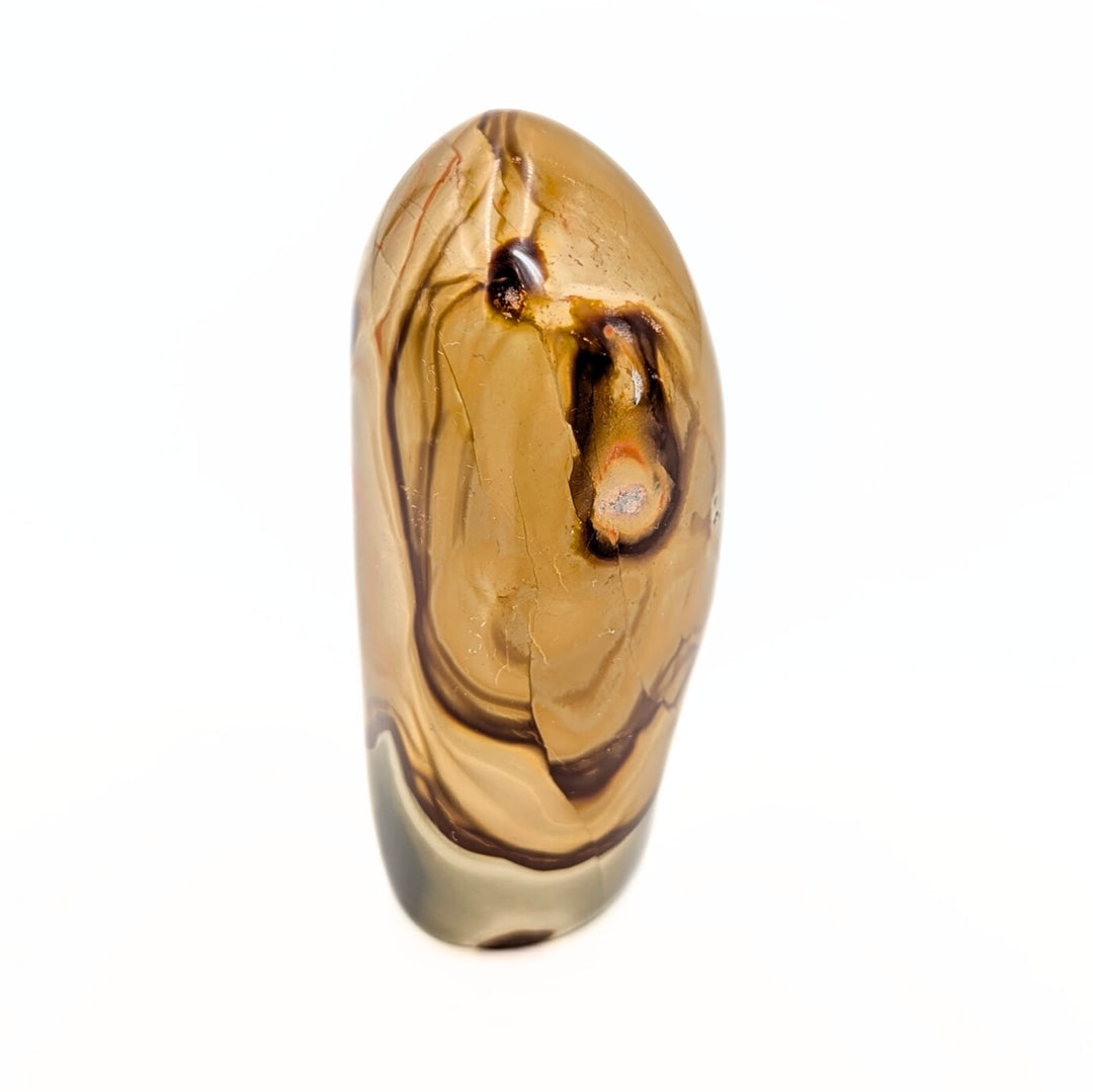 Polychrome Jasper Polished Freeform