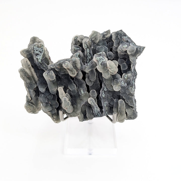 Blue Coral Chalcedony Freeform