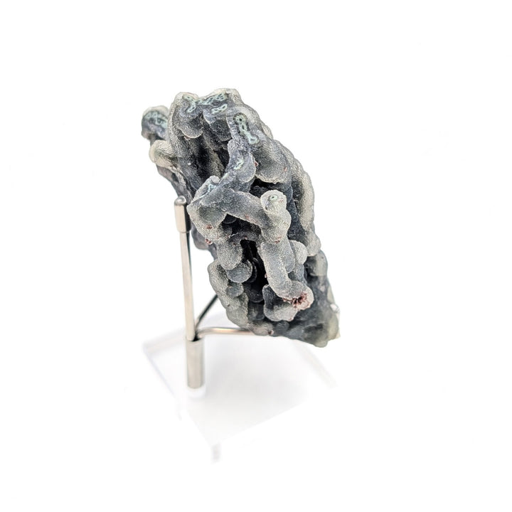 Blue Coral Chalcedony Freeform