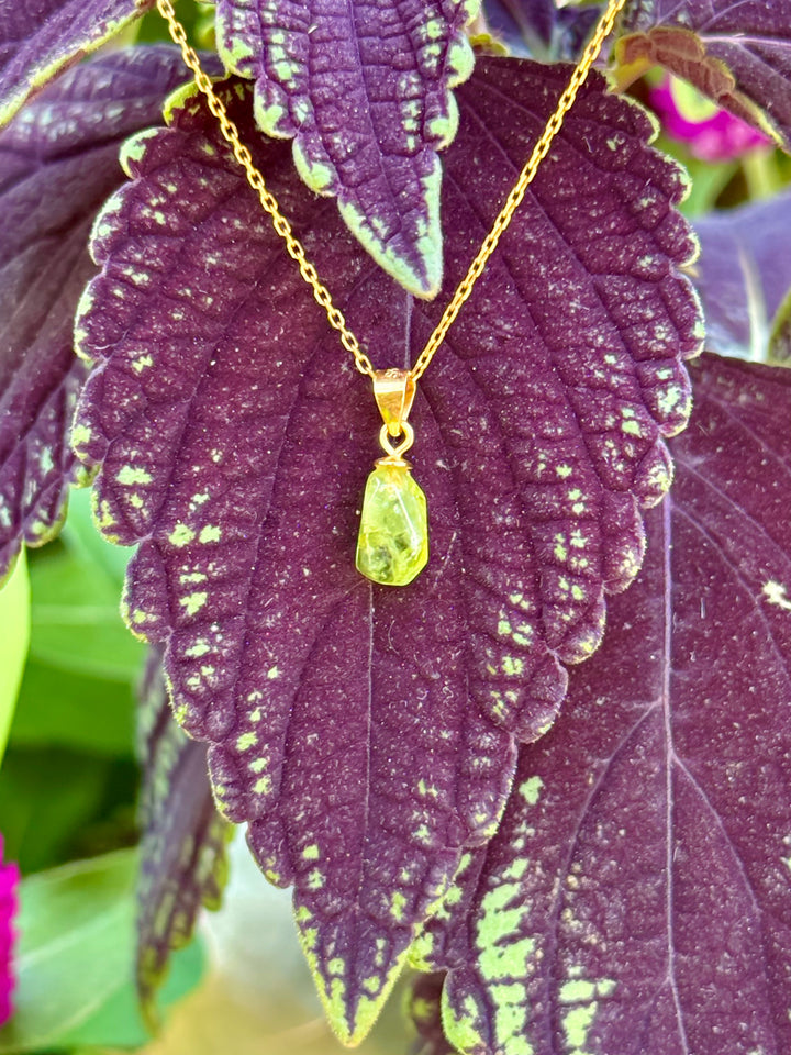 Peridot Freeform Necklace in Vermeil