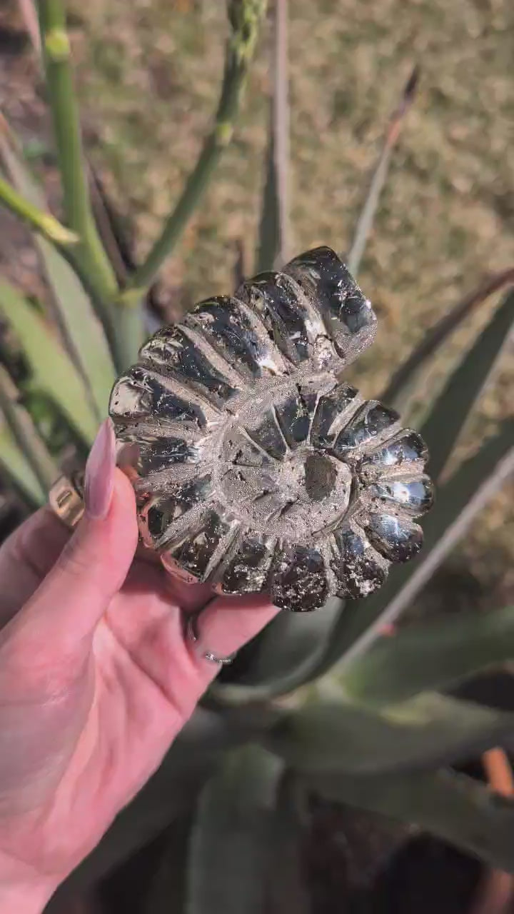Polished Pyrite Ammonite Carving